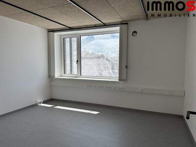 Gewerbeobjekt mieten in 4210 Gallneukirchen (Bild 5)