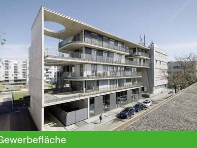 Gewerbeobjekt mieten in 8020 Graz