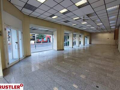 Gewerbeobjekt mieten in 1200 Wien (Bild 2)