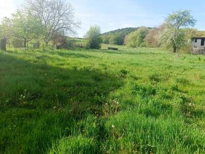 Grundstück kaufen in 7542 Sulz (Bild 1)