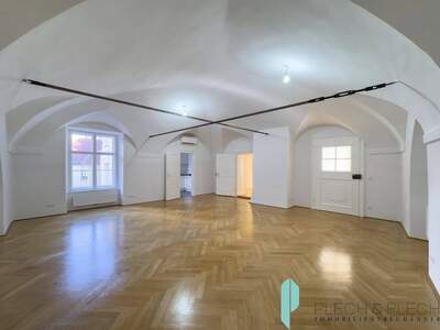 Mietwohnung in 1010 Wien