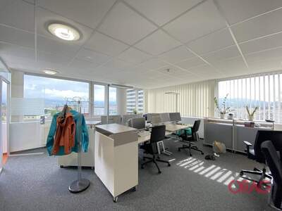 Gewerbeobjekt mieten in 4040 Linz