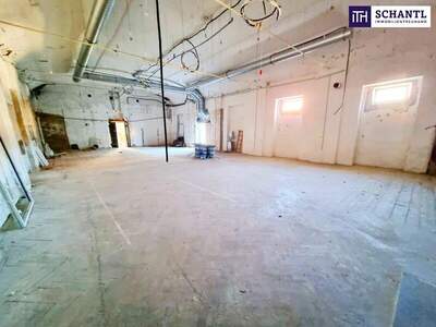 Wohnanlage kaufen in 1230 Wien (Bild 5)