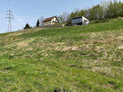 Grundstück kaufen in 8661 Sankt Barbara (Bild 4)