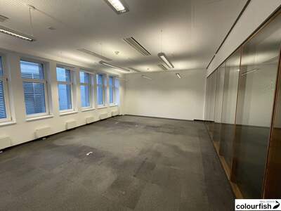 Gewerbeobjekt mieten in 1010 Wien (Bild 4)