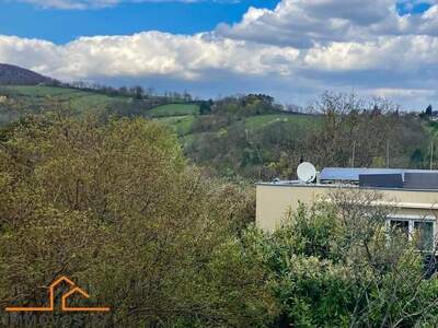 Haus kaufen in 1190 Wien 19.