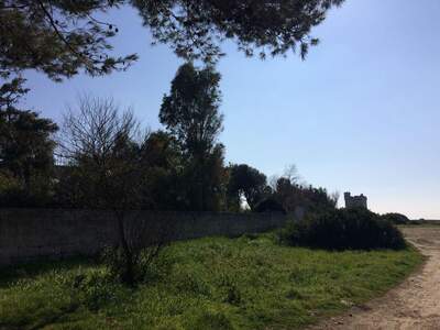 Haus mit Garten kaufen in 73048 Nardo´ (Bild 5)