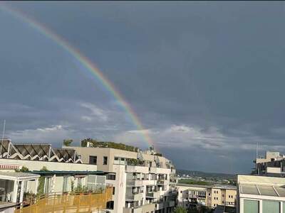 Mietwohnung provisionsfrei in 7000 Eisenstadt