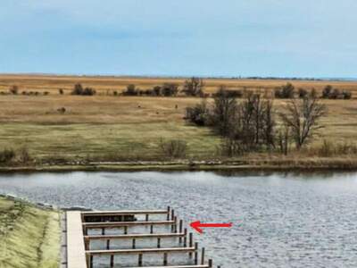 Halle / Lager / Produktion mieten in 7063 Oggau (Bild 2)