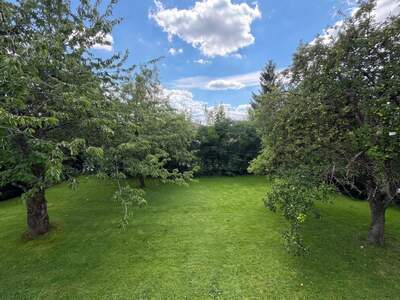 Einfamilienhaus kaufen in 4910 Ried (Bild 3)