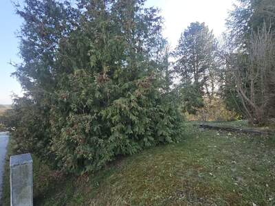 Grundstück kaufen in 8062 Kumberg (Bild 2)