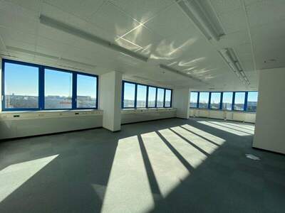 Büro / Praxis mieten in 2351 Wr. Neudorf (Bild 2)