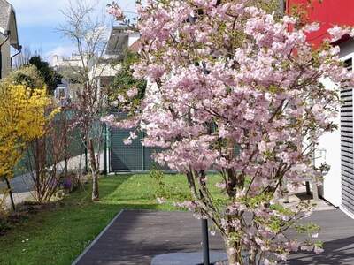 Wohnung mieten in 5020 Salzburg (Bild 3)