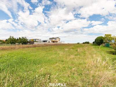 Grundstück kaufen in 7100 Neusiedl (Bild 1)