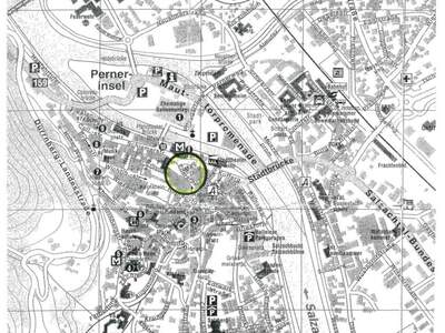 Gewerbeobjekt mieten in 5400 Hallein (Bild 4)