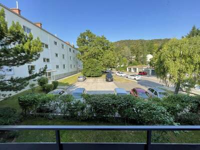 Apartment mieten in 2340 Niederösterreich