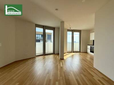 Terrassenwohnung mieten in 1100 Wien (Bild 1)