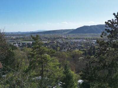 Grundstück kaufen in 2103 Langenzersdorf (Bild 1)