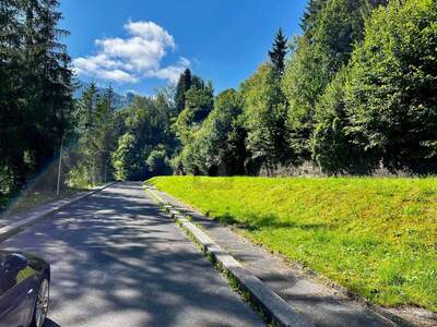 Gewerbeobjekt mieten in 5500 Bischofshofen (Bild 3)