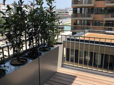 Wohnung provisionsfrei mieten in 1020 Wien