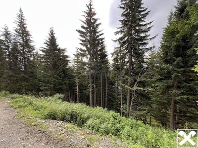 Gewerbeobjekt kaufen in 9613 Feistritz