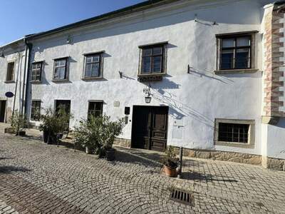 Gewerbeobjekt mieten in 3400 Klosterneuburg (Bild 5)