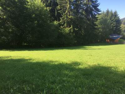 Grundstück kaufen in 6133 Weerberg (Bild 2)