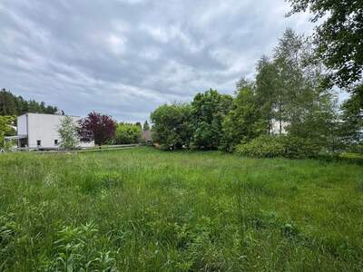 Grundstück kaufen in 4201 Eidenberg (Bild 4)