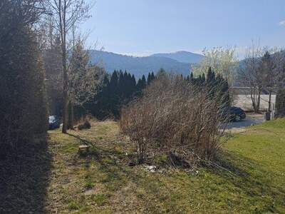 Grundstück kaufen in 2733 Grünbach (Bild 3)