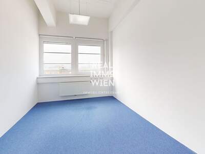 Gewerbeobjekt mieten in 2514 Traiskirchen (Bild 4)