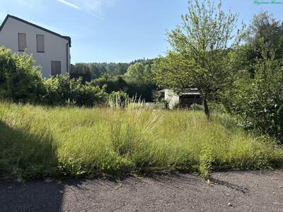 Grundstück kaufen in 8044 Graz (Bild 3)