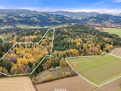 Gewerbeobjekt kaufen in 9431 Reinfelsdorf (Bild 4)