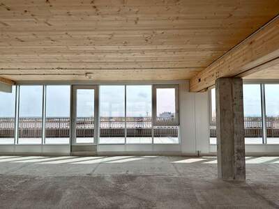 Gewerbeobjekt mieten in 2351 Wiener Neudorf (Bild 4)