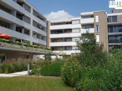 Terrassenwohnung mieten in 3100 St. Pölten (Bild 3)