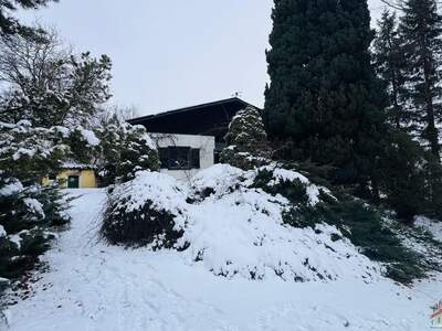 Einfamilienhaus kaufen in 2113 Karnabrunn (Bild 4)