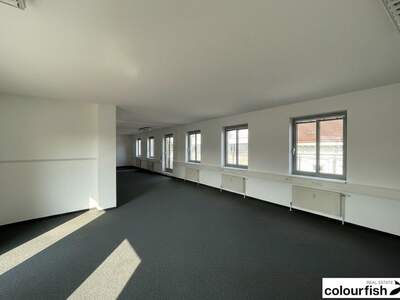 Gewerbeobjekt mieten in 1060 Wien (Bild 4)