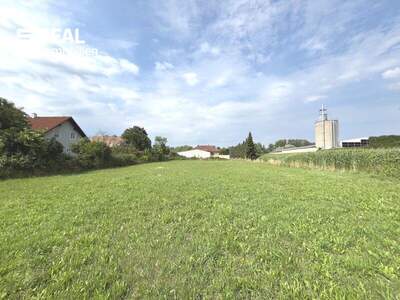 Grundstück kaufen in 3435 Zwentendorf (Bild 2)