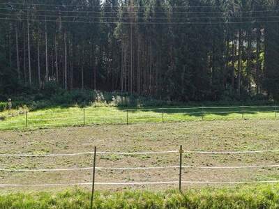 Grundstück kaufen in 4814 Neukirchen (Bild 1)