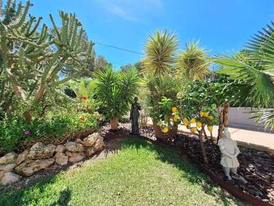 Haus kaufen in 7180 El Toro (Bild 3)