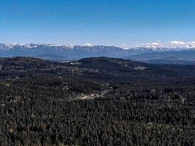 Anlageobjekt kaufen in 4923 Lohnsburg (Bild 4)