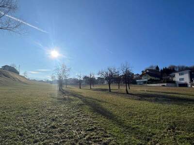 Anlageobjekt kaufen in 4694 Ohlsdorf