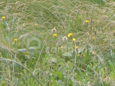 Grundstück kaufen in 1220 Wien