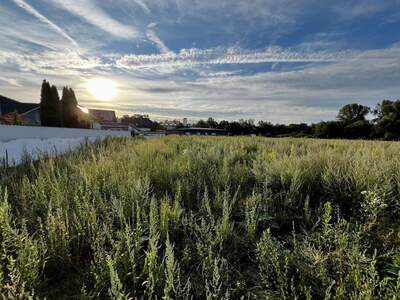 Grundstück kaufen in 4225 Luftenberg (Bild 2)