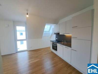 Terrassenwohnung mieten in 1230 Wien (Bild 3)