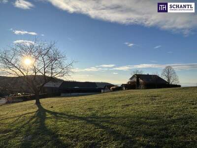 Grundstück kaufen in 8045 Weinitzen (Bild 5)