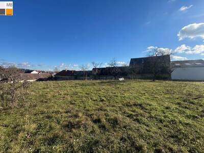 Haus kaufen in 7000 Eisenstadt