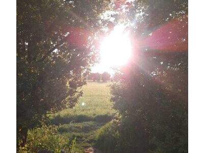 Terrassenwohnung mieten in 2331 Vösendorf (Bild 1)
