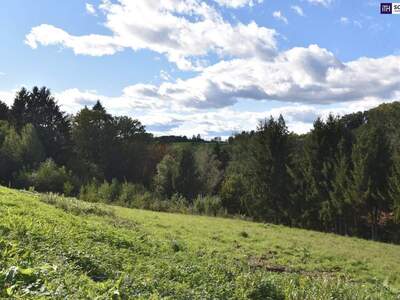 Grundstück kaufen in 8010 Graz