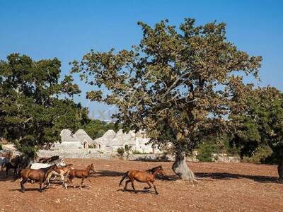 Haus mit Garten kaufen in 72014 Cisternino (Bild 1)