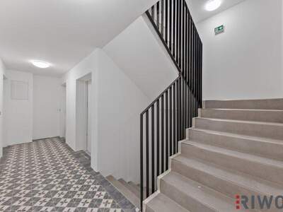 Terrassenwohnung kaufen in 1230 Wien (Bild 2)